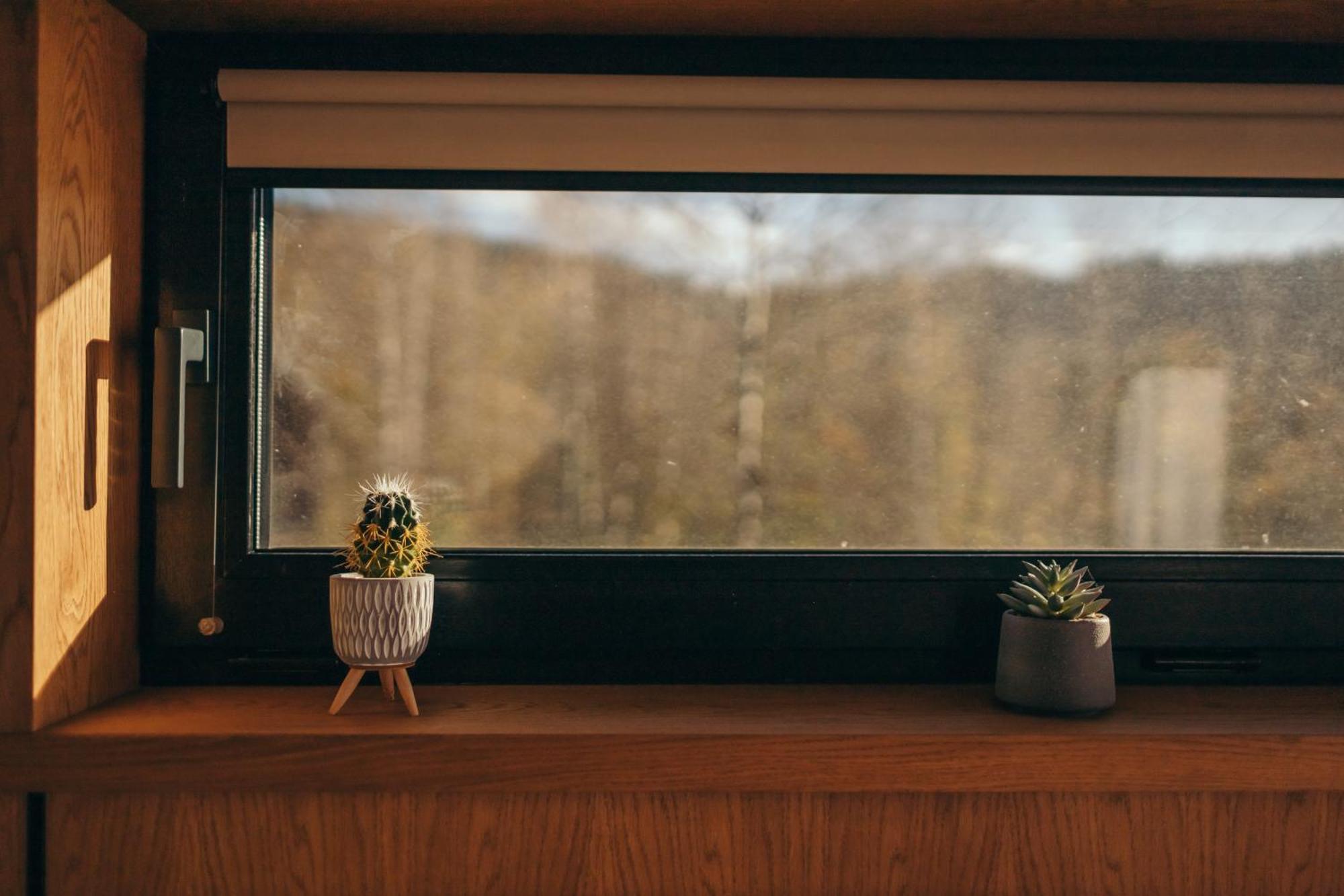 Chalet Travy